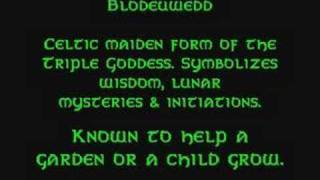 The Celts