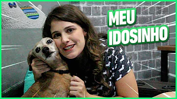 O que dar para cachorro velho?