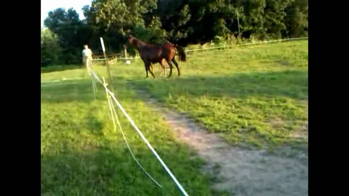 bridget and rainey running