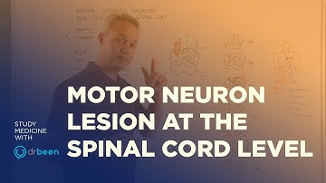 Motor Neuron Lesions at the Spinal Cord Level - Upper And Lower Motor Neuron Deficit