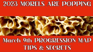 🔥2023 Morel Mushroom Progression Map updated March 9th🔥Expert Hunting Tips Revealed, #morelhunting