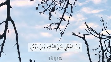 تلاوة ميسرة من سورة ابراهيم " رَبِّ اجْعَلْنِي مُقِيمَ الصَّلَاةِ وَمِن ذُرِّيَّتِي ۚ" احمد النفيس
