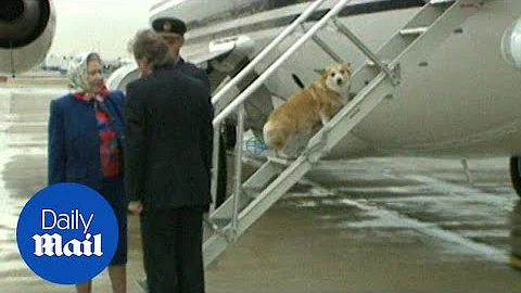 Queen encourages corgis up aircraft steps at Heathrow in 1994 - Daily Mail - DayDayNews