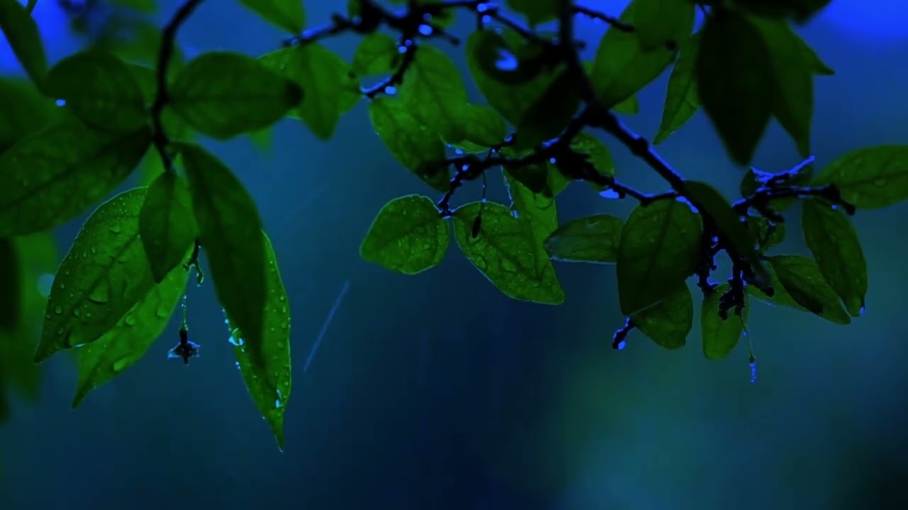 Дождь за окном создайте уют дома