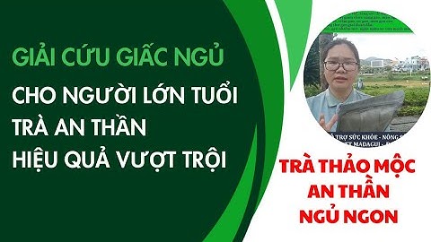Trà Thảo Mộc An Thần Ngủ Ngon Giải Pháp Tự Nhiên Cho Giấc Ngủ Sâu Vy Oanh Madagui 0325797005