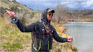 We are Going to Catch Brown Trout...IN THE RAIN (Fly Fishing)