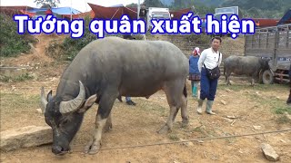 Xuất hiện tướng quân đã thất lạc từ lâu