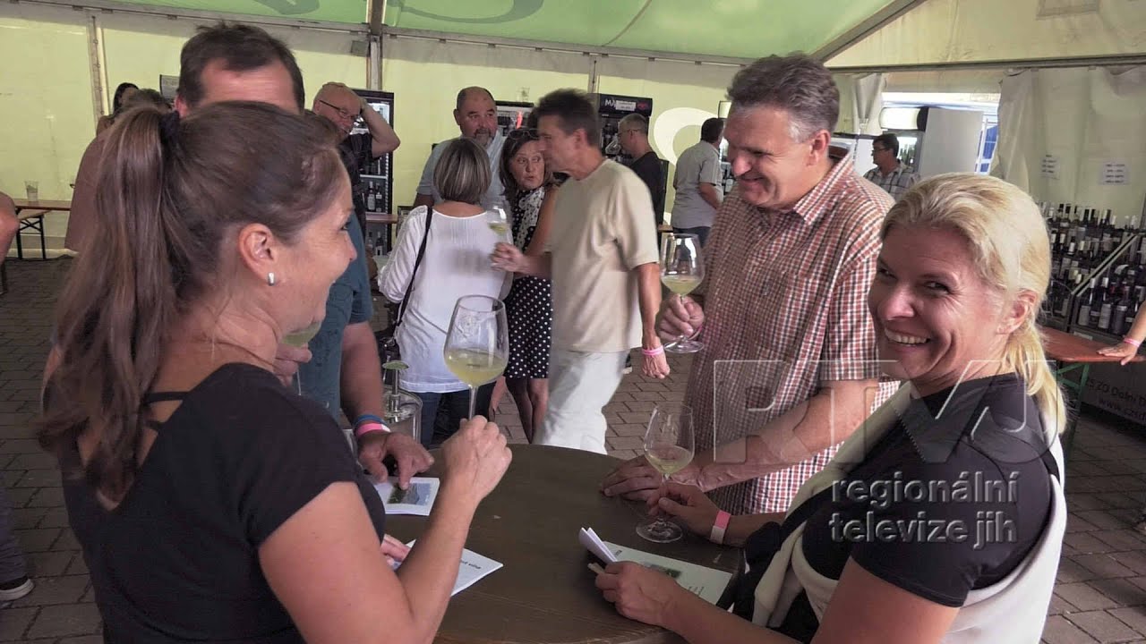 Dolnodunajovické slavnosti plné vína, chutí a tónů