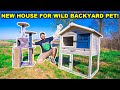 Building My WILD Backyard PET a HOUSE!!! (Rare Animal Caught INSIDE on Trail Cam!)
