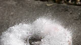 Phantom Camera Comparison - Water Balloon