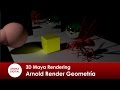 3D Maya 298 Rendering Arnold Parametros de geometría