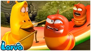 LIVE 💓Watermelon Competition - The Most Special Funny Larva - Funny Funny Cartoons.