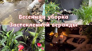 Весенняя уборка зимнего сада