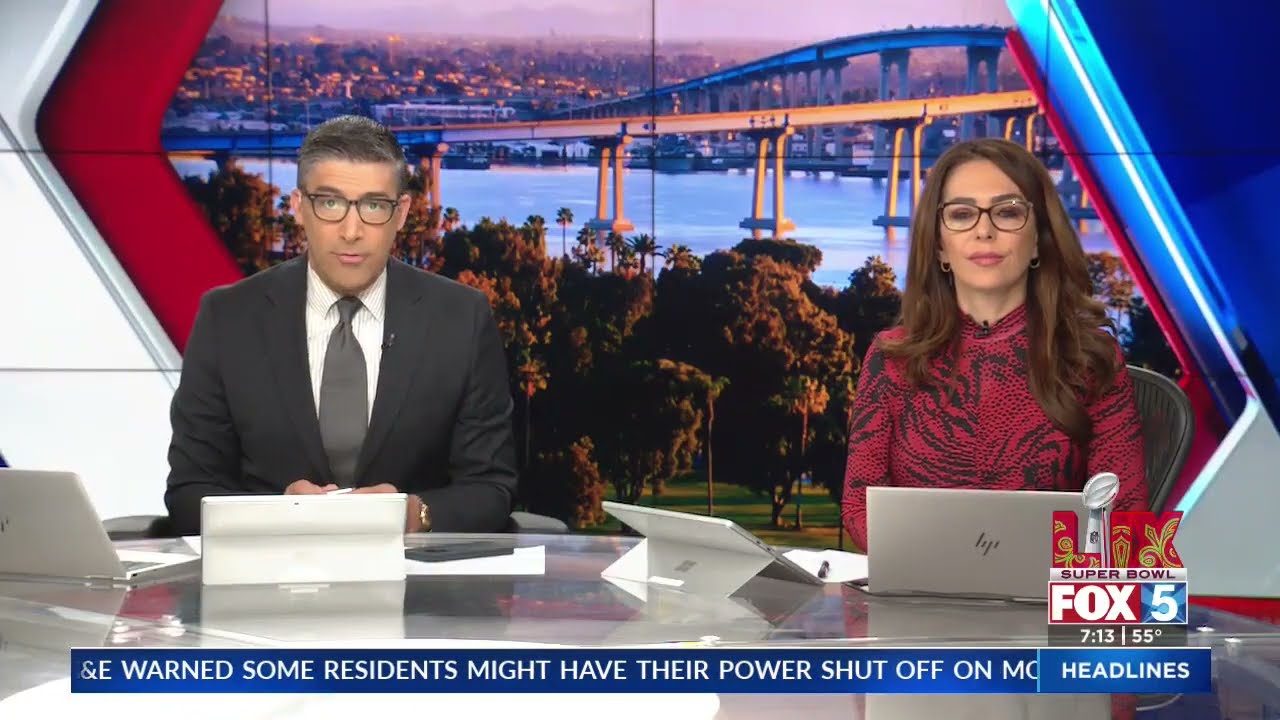 SYRIAN GOVERNMENT FALLS