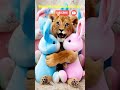 Alifun ba taun sa | Beautiful Naat #shorts #cutecat #tinyanimals #islamicshorts #animals #kids #baby