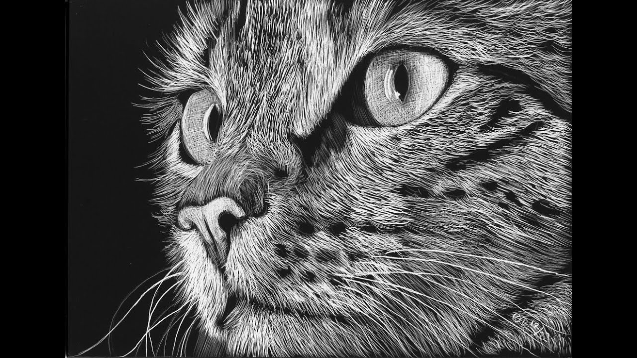 Scratchboard, Scratchboard Art, How to Draw on Scratchboard, Lee