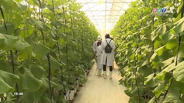 Hợp tác xã VGP tiên phong trong ứng dụng công nghệ cao