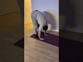1min pour relâcher le dos et les ischios