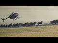 The federal government plans to remove 14,000 wild horses across 9 states