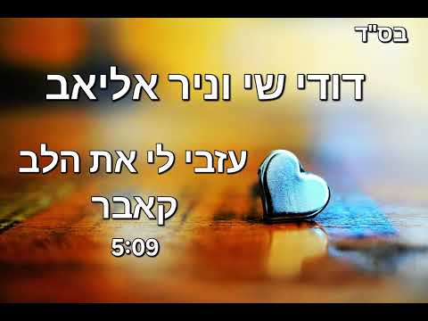 דודי שי וניר אליאב עזבי לי את הלב קאבר 