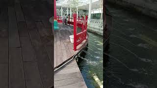 Keberangkatan bandara internasional Ahmad Yani Semarang