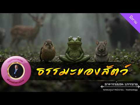 อาจารย์ยอด : ธรรมะของสัตว์ [นิทาน]