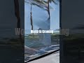 World is growing. #3d #art #video