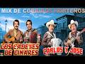 Puros Clásicos Corridos Norteños💥Carlos y José vs Los Cadetes de Linares - Sus Éxitos Inolvidables