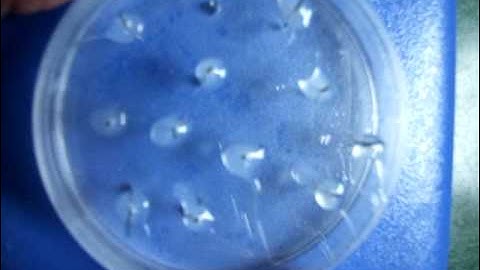 VD in Hot Ice. Crystallization in data-points is initiated in parallel.