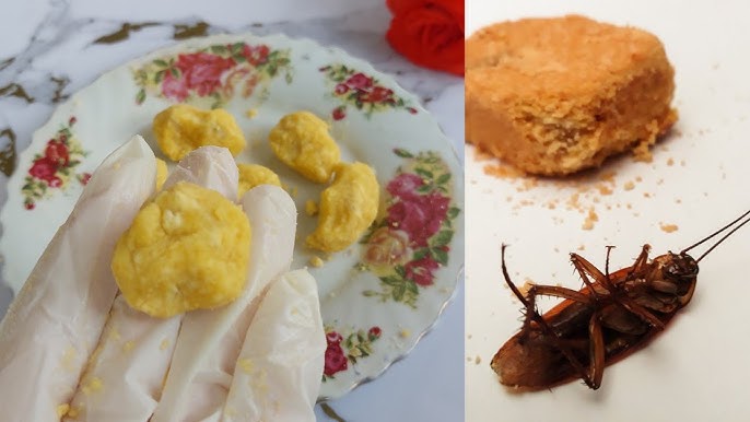 Порно актриса Мисс Бикини