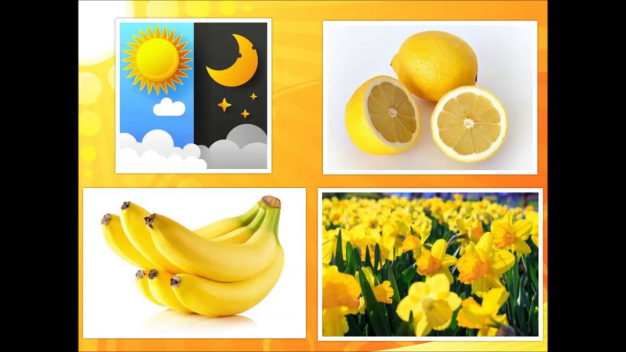 Kleurenlied - Een Mizzemos Kinderliedje over kleuren en tellen