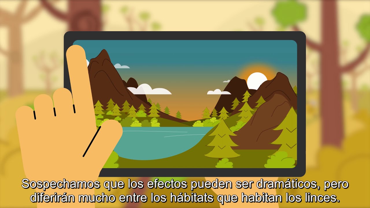 Seasonality change and the Iberian lynx - YouTube