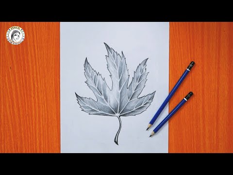 فيديو: كيفية رسم الأوراق بقلم رصاص