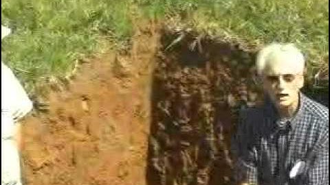 Management Considerations Through Soil Profile Observations