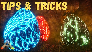 The BEST Way to Get Wyverns/Steal Wyvern Eggs on Ark Ragnarok