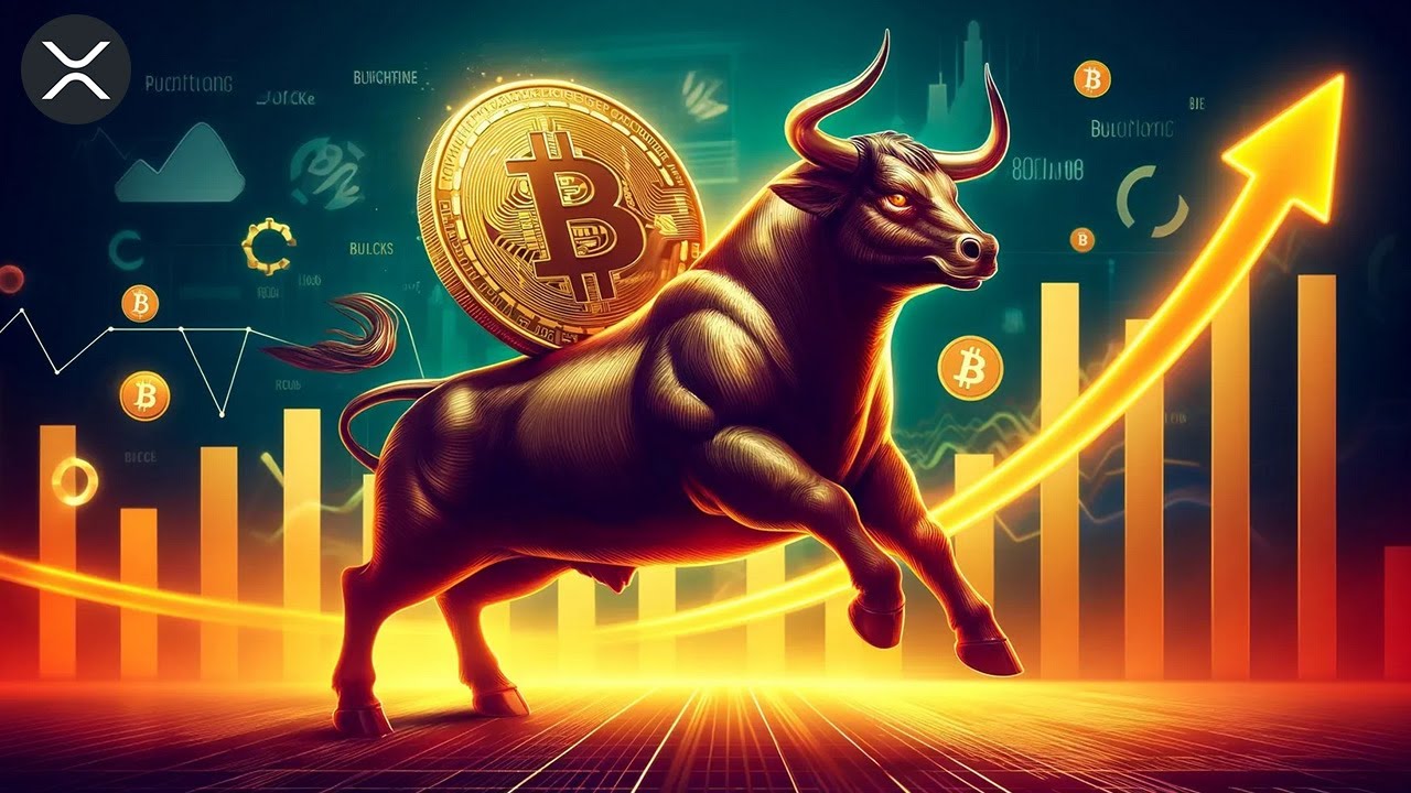 XRP vs Bitcoin - Which Will Make You Rich? - YouTube