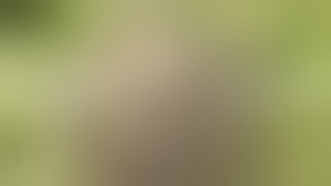 mars hydro,tsw 2000 3x3 grow tent fill this tent wall to wall! skywalker og strain