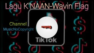 Lagu K'NAAN-Wavin flag|Yang sering dipakai di tiktok