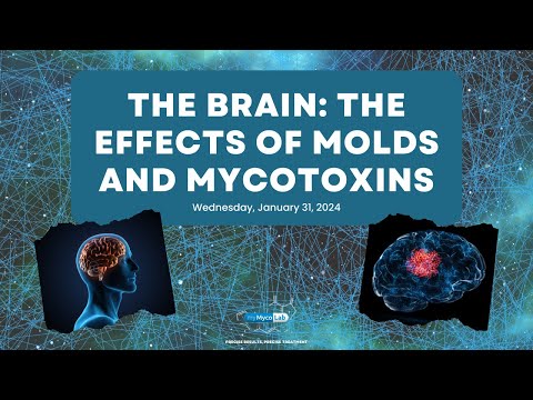 The Brain: The Effects of Molds and Mycotoxins