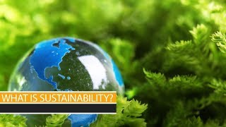 What is sustainability?