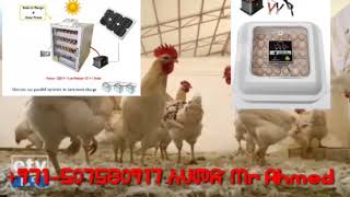 ኢትዮጵያ — Avis des YouTubeurs