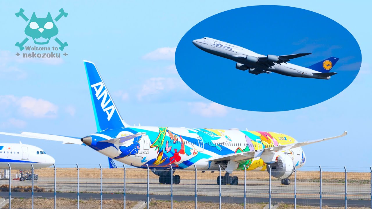 空飛ぶピカチュウ 発見】ANA ポケモン ピカチュウジェット じっくり
