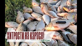 Секреты ловли карася летом! Секреты ловли карася летом!