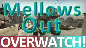 Rage HACKER Mellows Out! CS:GO OVERWATCH POLICE!
