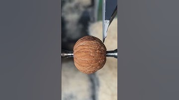 #bead #bodhi #seed #bracelet #processing #easywork #smartwork #technology #viral #youtubeshort