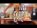 【女ひとり旅】沼津1泊2日〜沼津港・海鮮丼・沼津深海水族館・三島大社・柿田川湧水群〜
