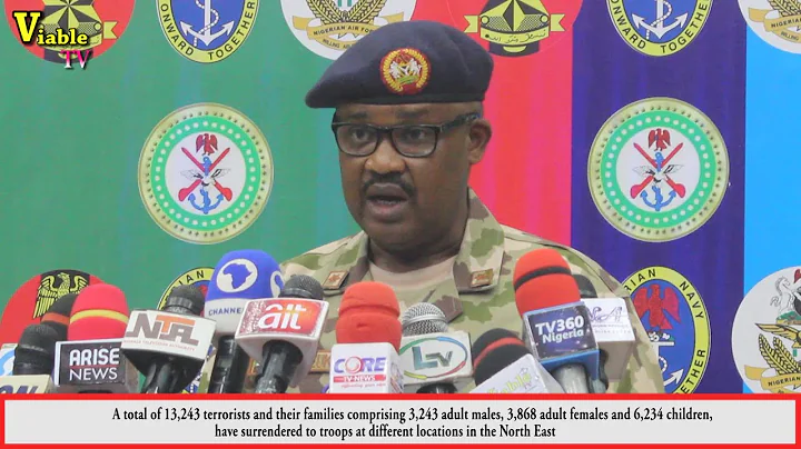 Troops Kill 29 Boko Haram, Arrest 13 Terrorist Informants/Collaborators