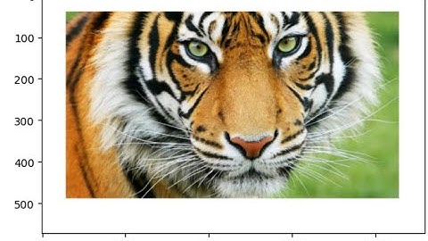Starting With Images in Numpy-Python