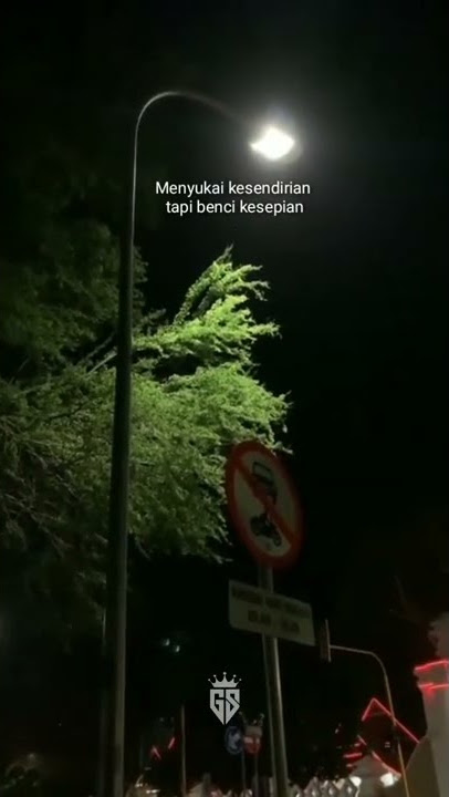 STORY WA MENYUKAI KESENDIRIAN TAPI BENCI KESEPIAN||STORY WA TERBARU 2022