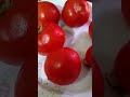 اطعم مربي اطعم مربي